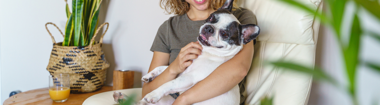 Get A Potted Plant For Your Fur Pets Today!_potted-plants
