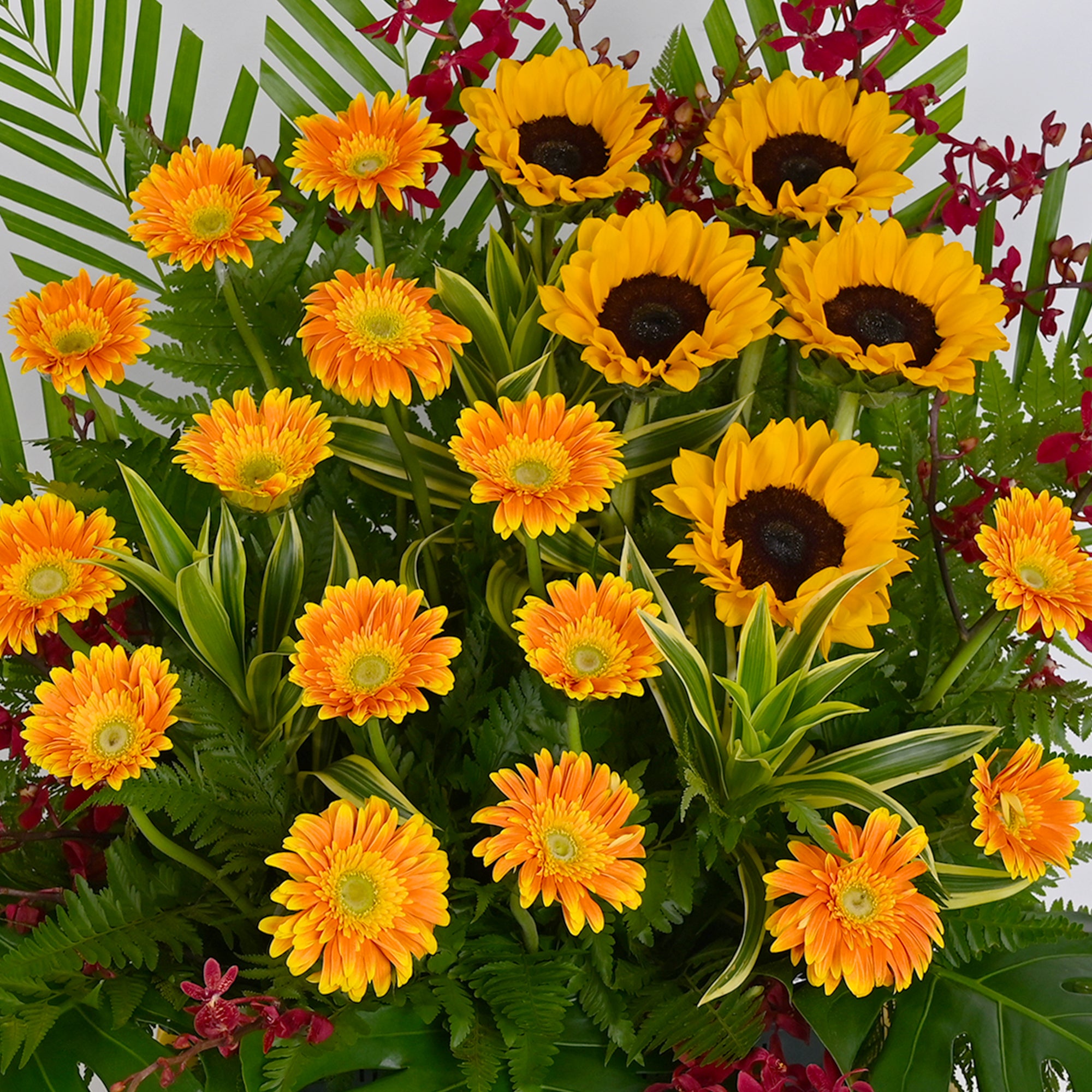 Infinite Fortune | Opening Flower Stand