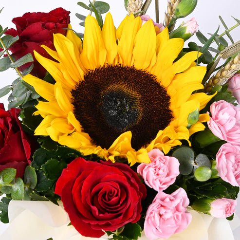 Sunshine Celebration Birthday Bundle