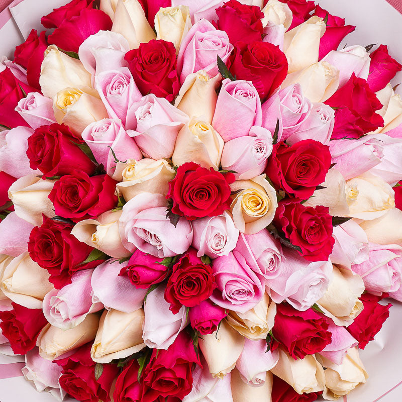 99 Roses - Bright Spark