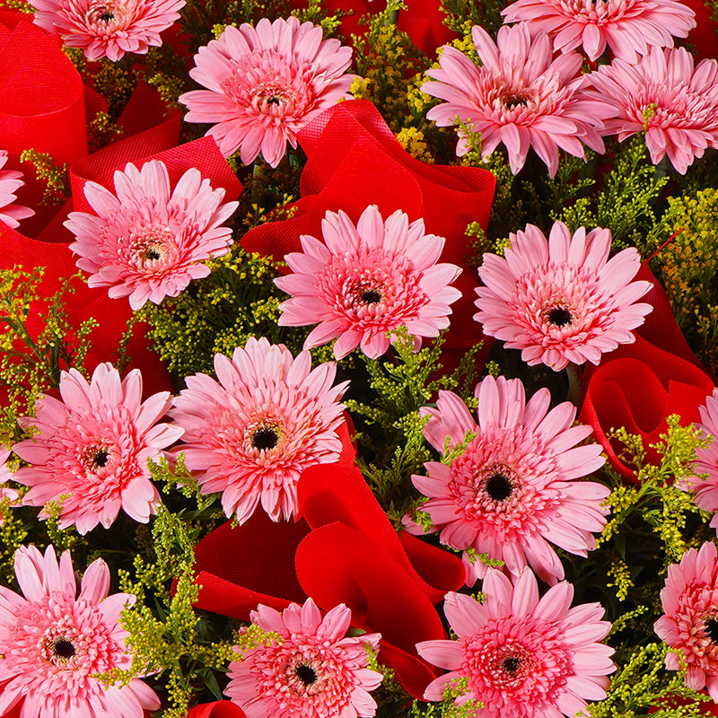 Cheers to You! | Grand Opening Stand