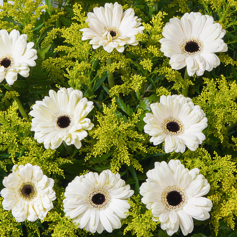 Eternal | Condolence Flower Stand
