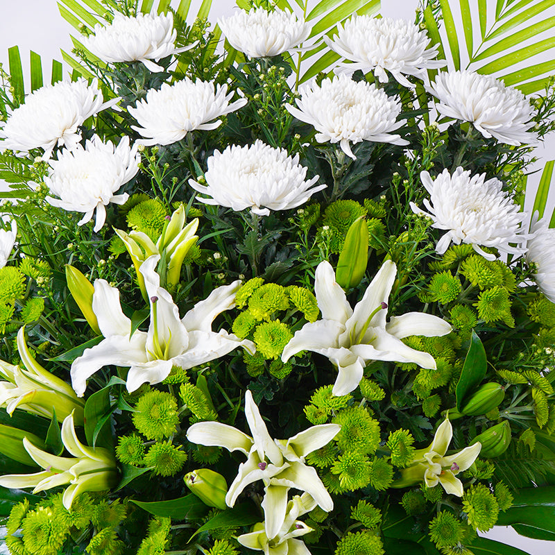 Solace Condolence | Funeral Flowers