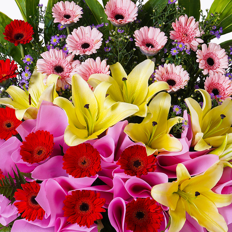 Whimsical Triumph | Grand Opening Stand