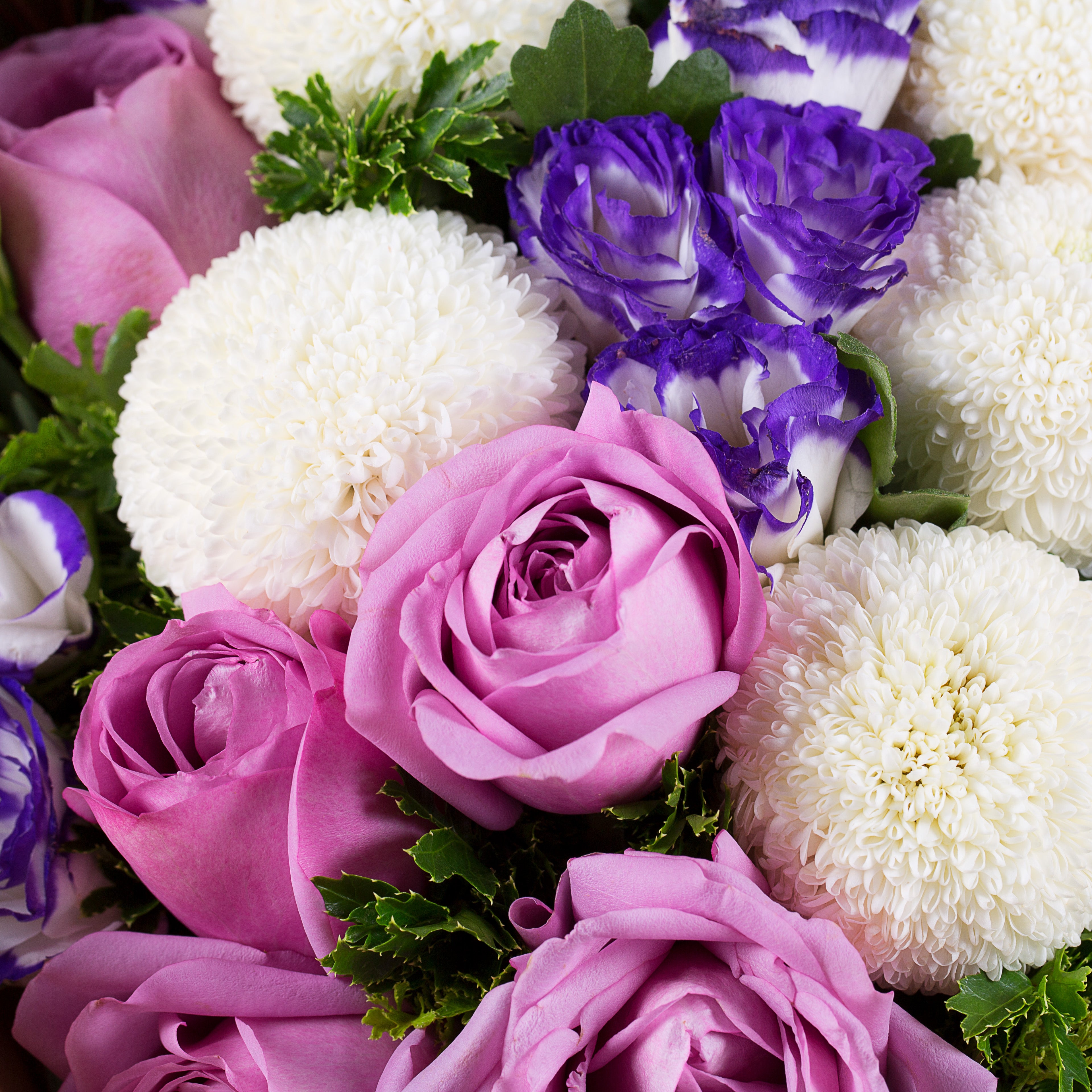 Purple Hues + The Modern Duke's Pudding Cheesecake