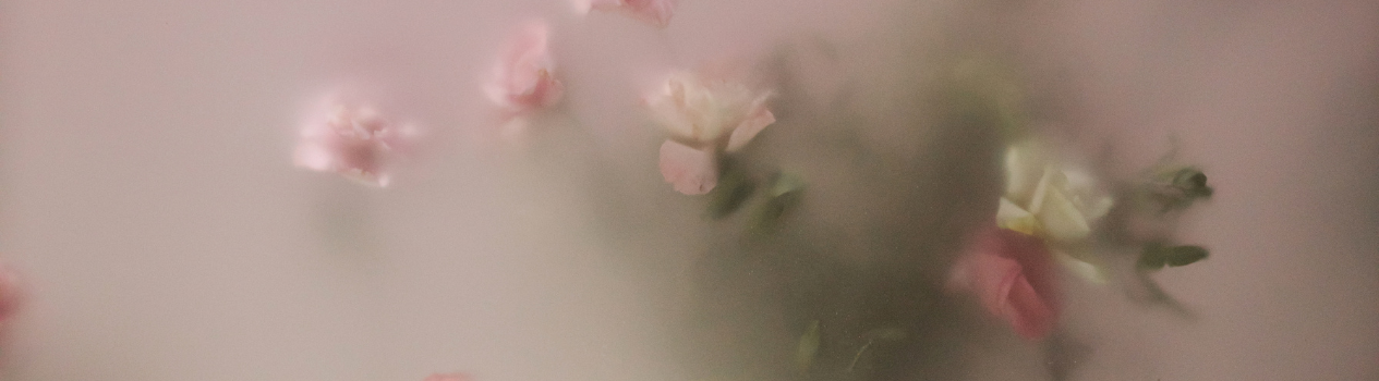 Celebrate Someone You Love With Roses Today!_roses