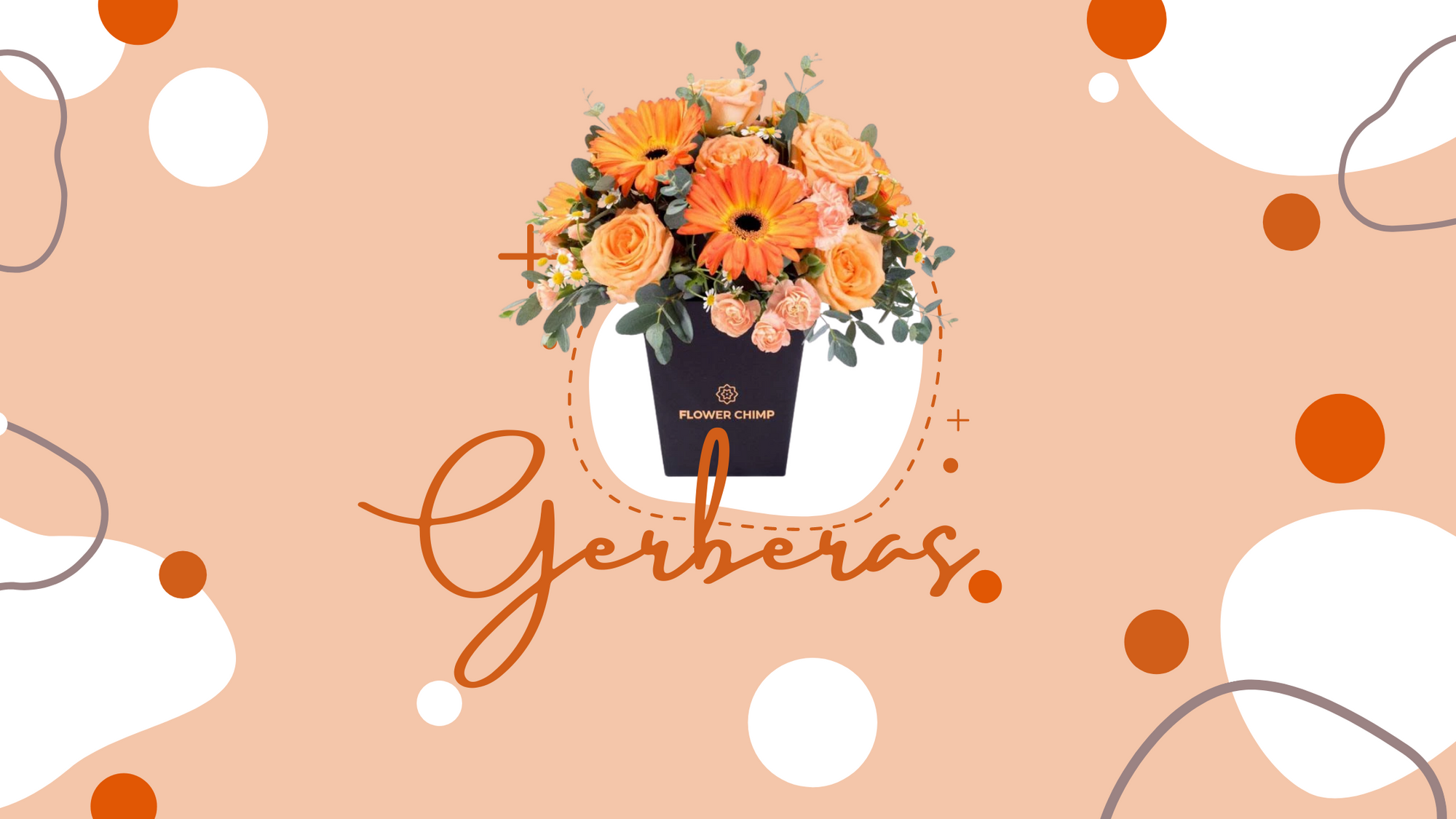 Gerbera Flower Bouquets_gerberas