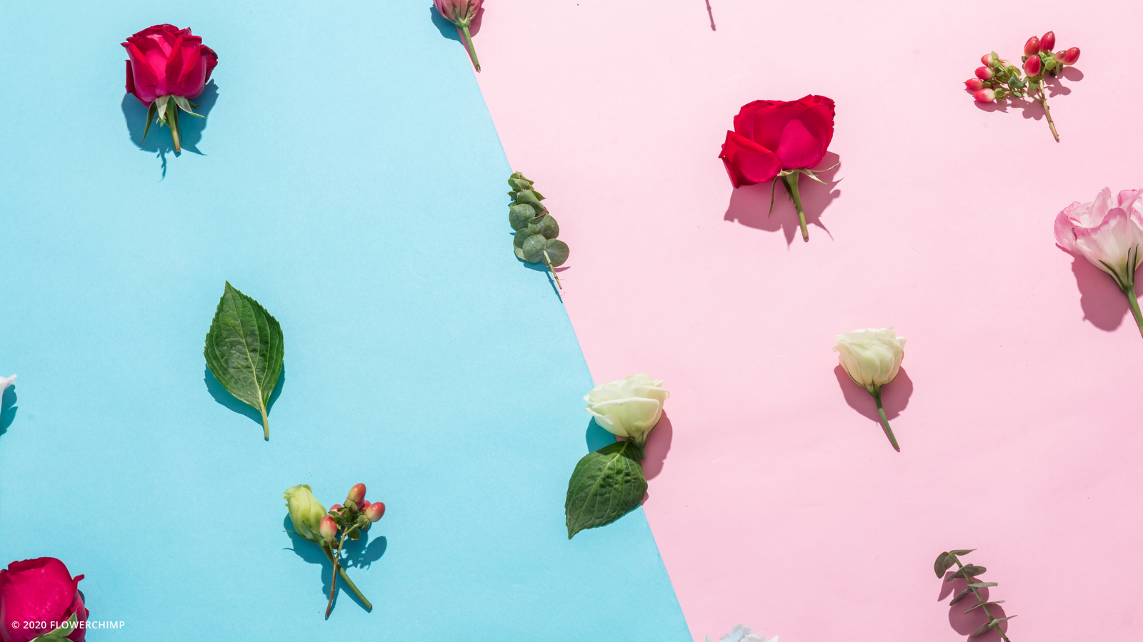 Flowers For All Occasions_all-types