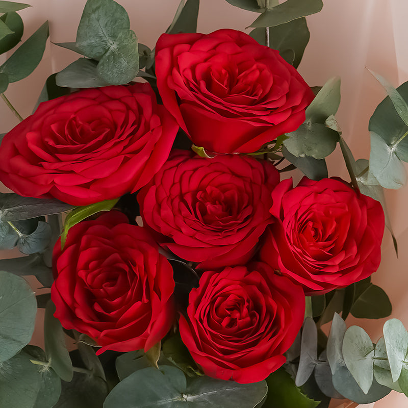 Royal Red