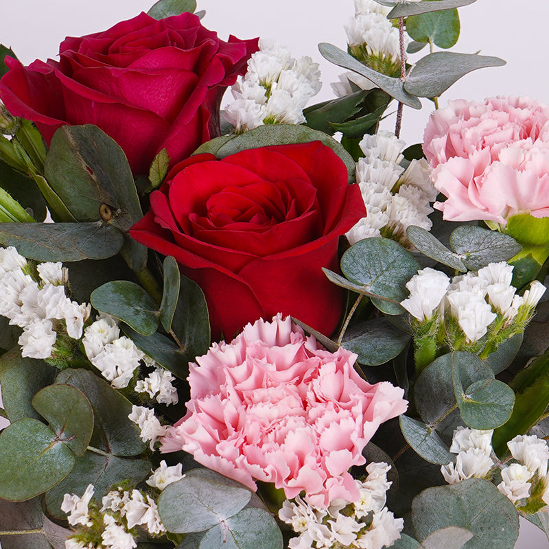 Mothers Day Flower Plant Best Flower Site