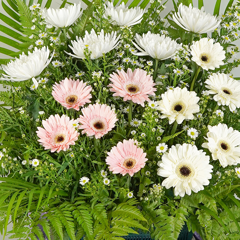 Blessed Soul Condolence | Funeral Flowers