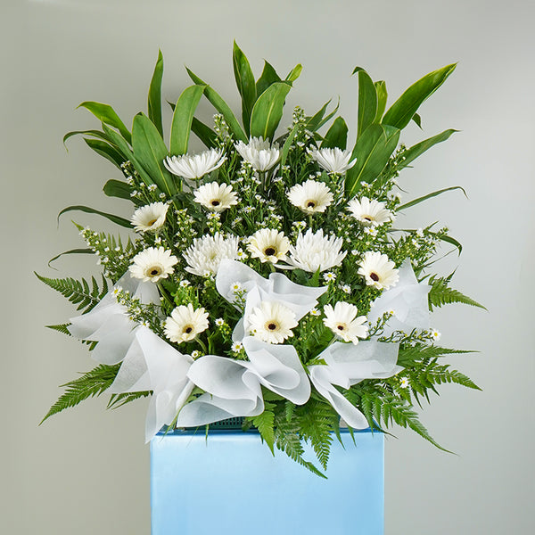 CoolBlueCondolenceStand1_600x.