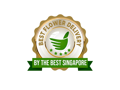 Best Singapore