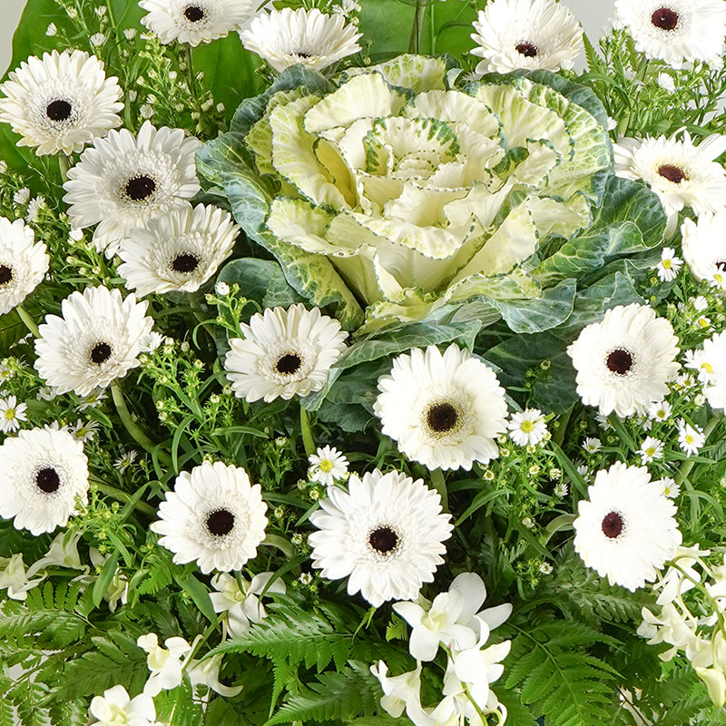Loving Reminisce Condolence | Funeral Flowers