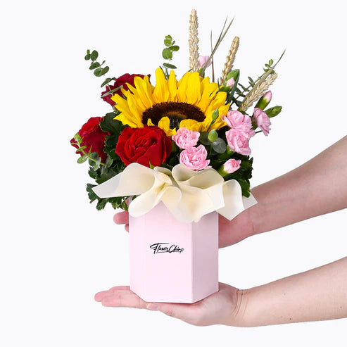 Sunshine Celebration Birthday Bundle