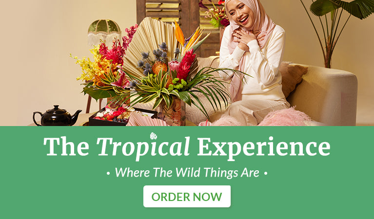 //www.flowerchimp.sg/cdn/shopifycloud/shopify/assets/no-image-2048-5e88c1b20e087fb7bbe9a3771824e743c244f437e4f8ba93bbf7b11b53f7824c.gif