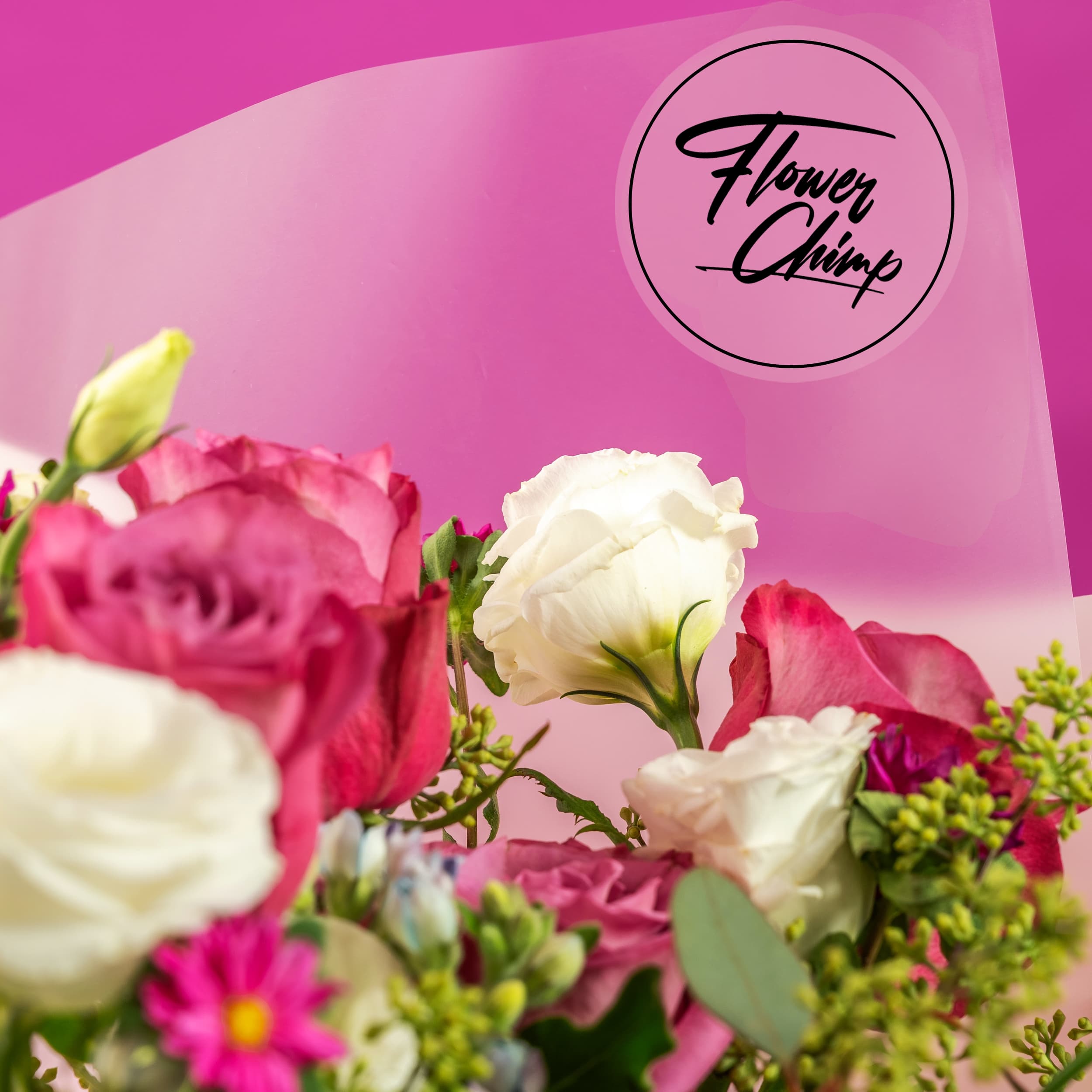 Divine Purple Roses