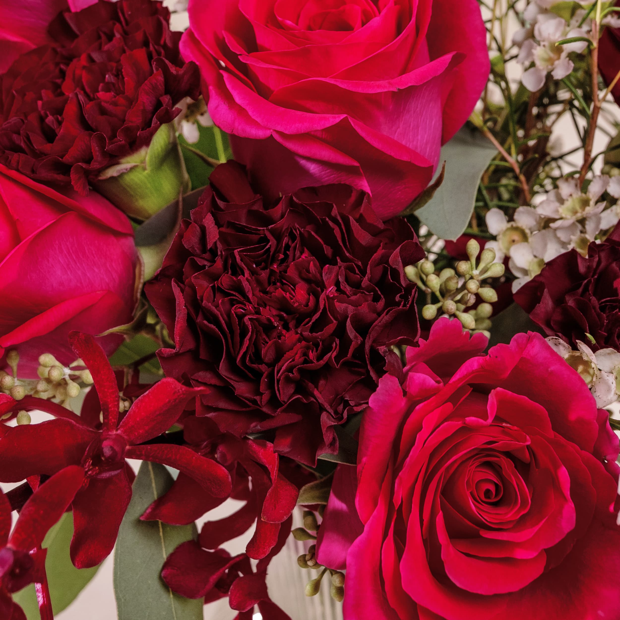 Truly Stunning Pink Roses