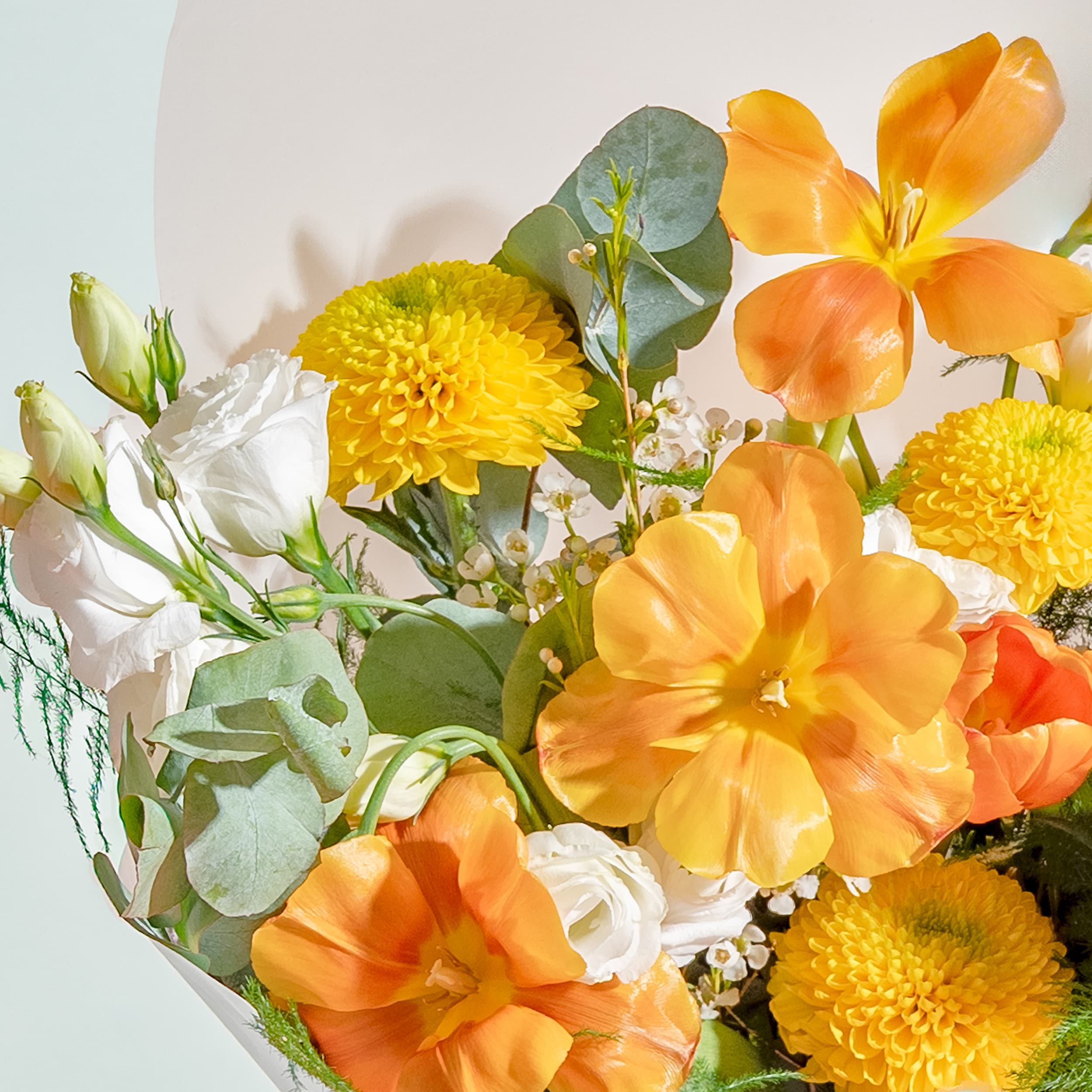 Sunburst Tulips