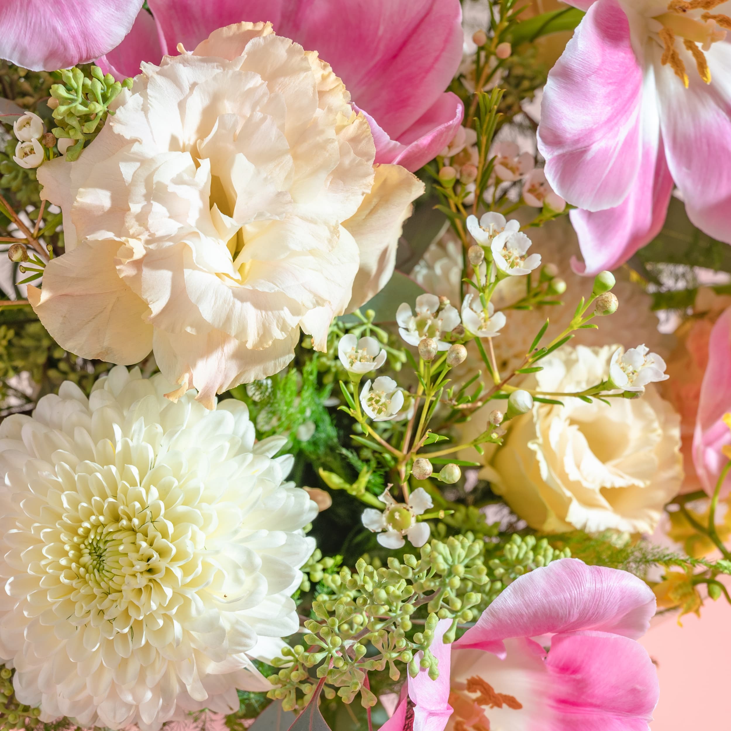 Sweet Tulips