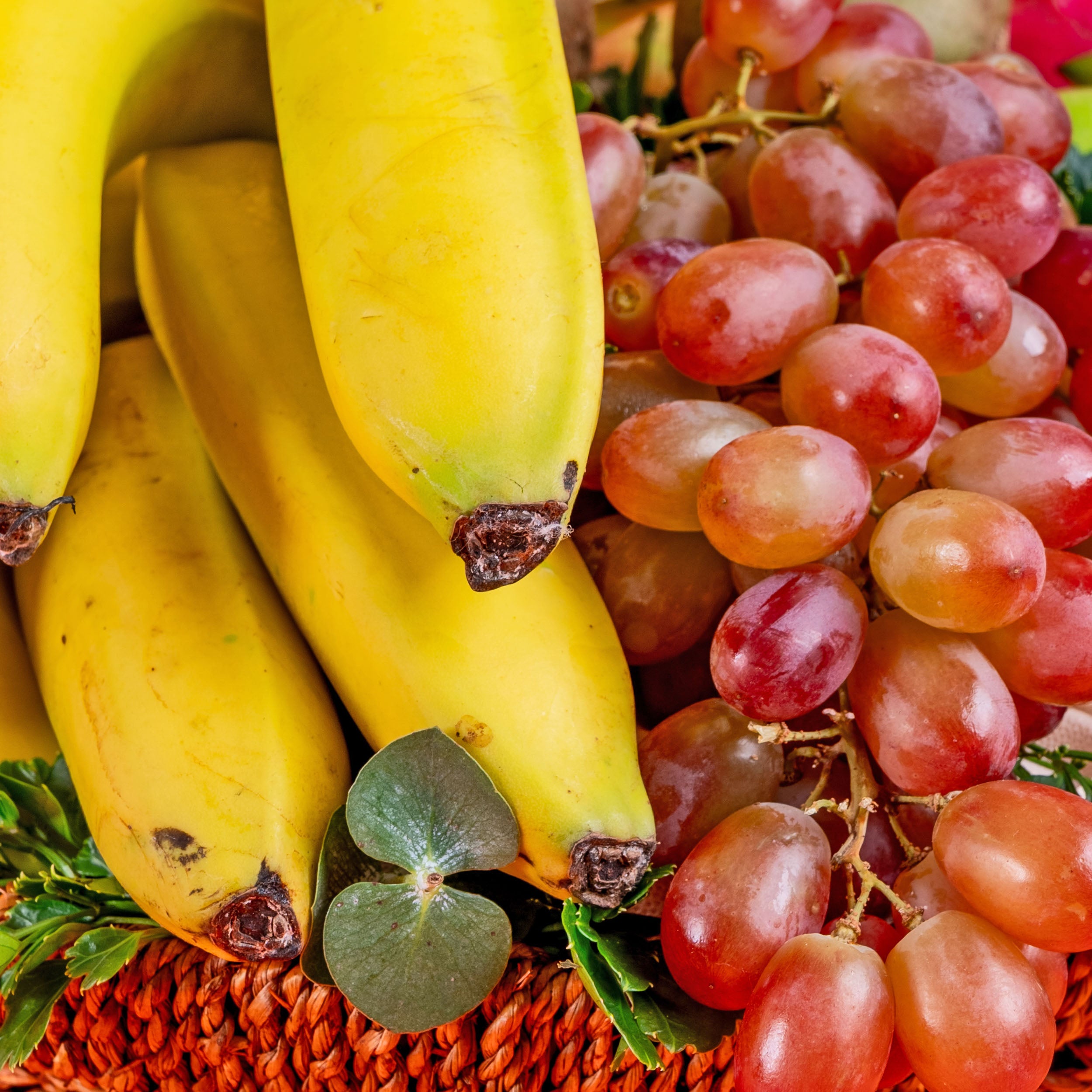 Medium Fruit Basket