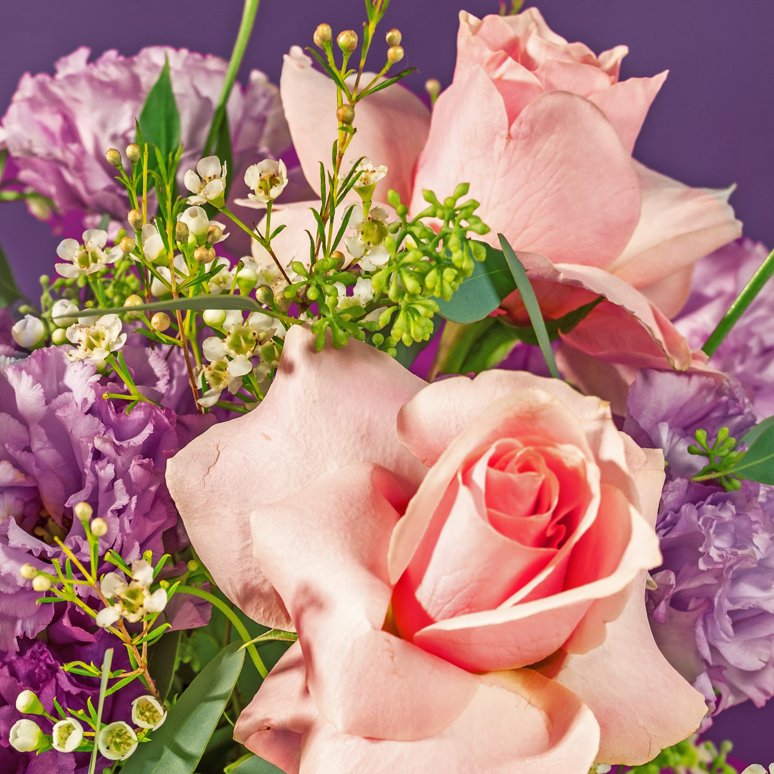 Pretty Pink Roses