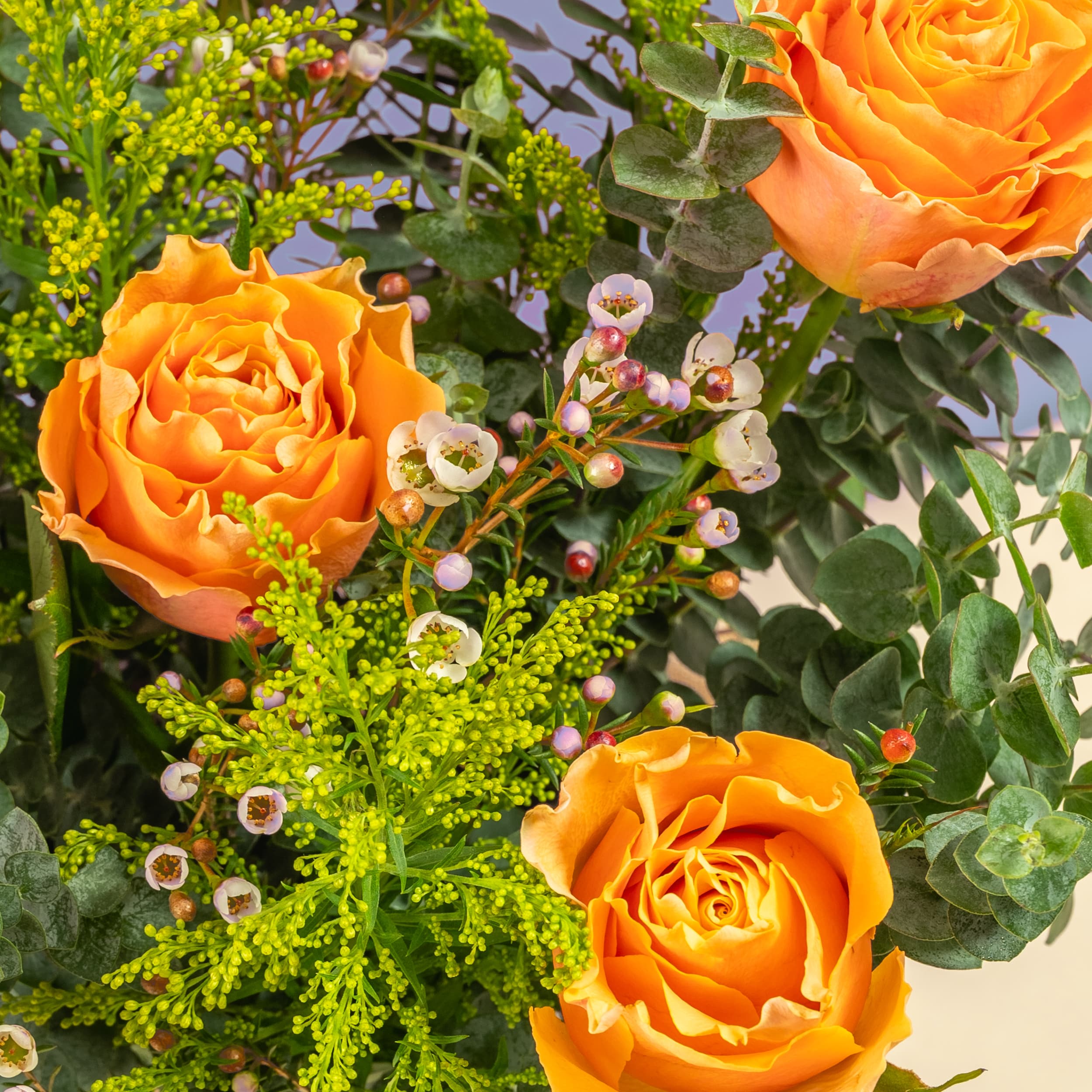 Golden Honey Roses