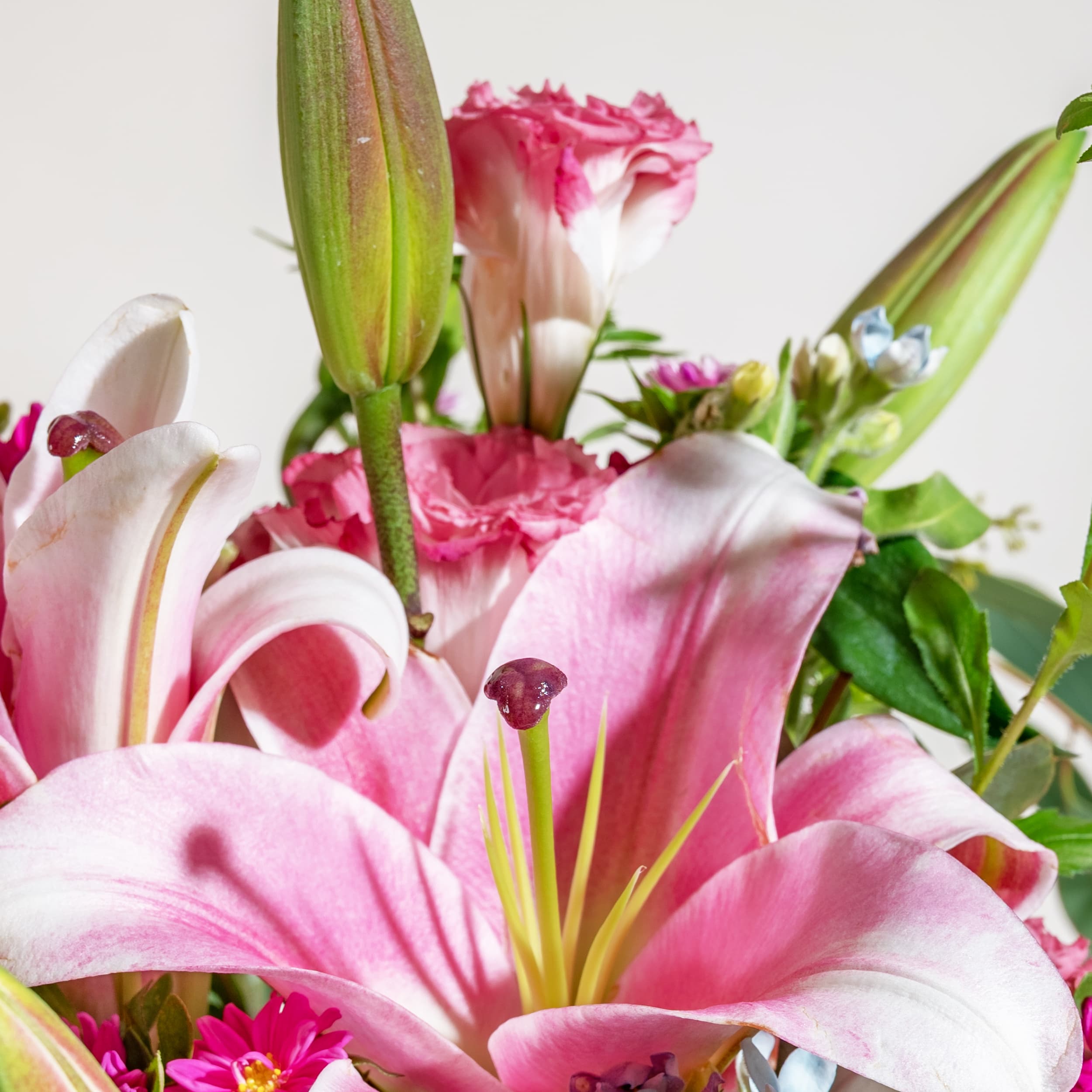 Soft Pink Lilies