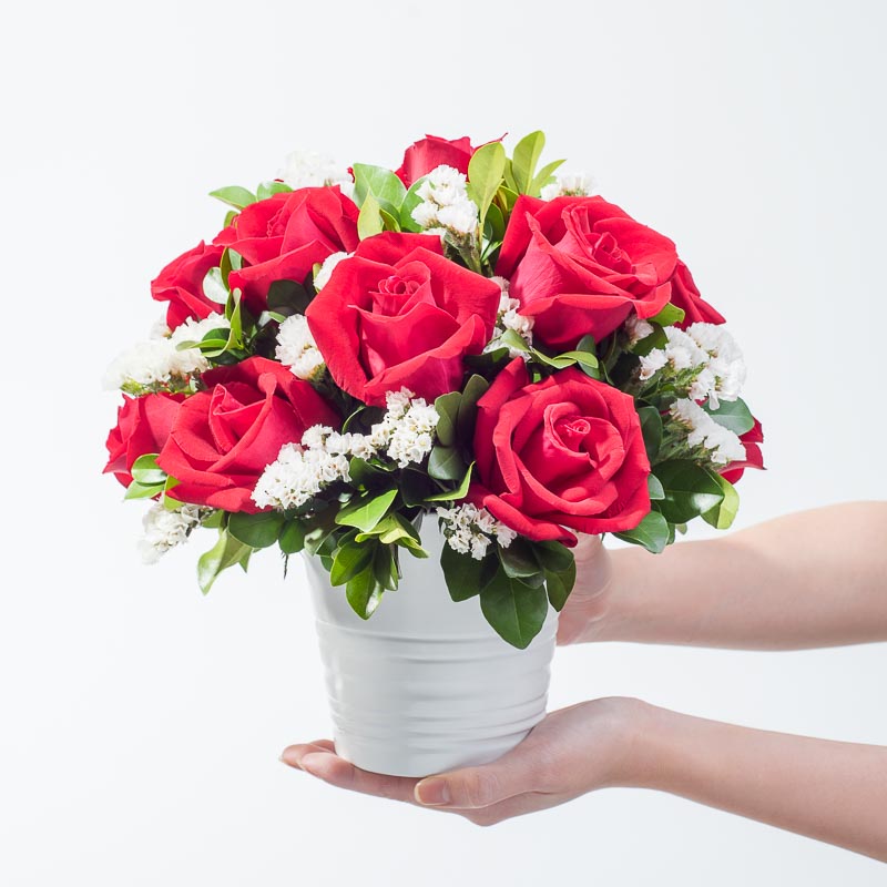 Cherry Posy