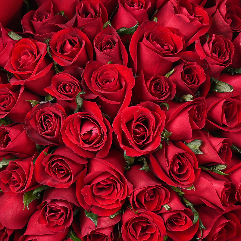 50 red roses - Scarlet Heart
