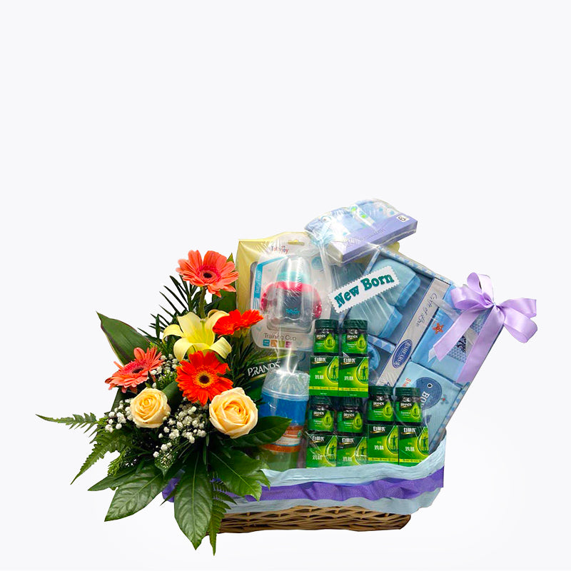 New Born Baby Hamper Singapore Toys, Flowers, Gifts Flower Chimp SG