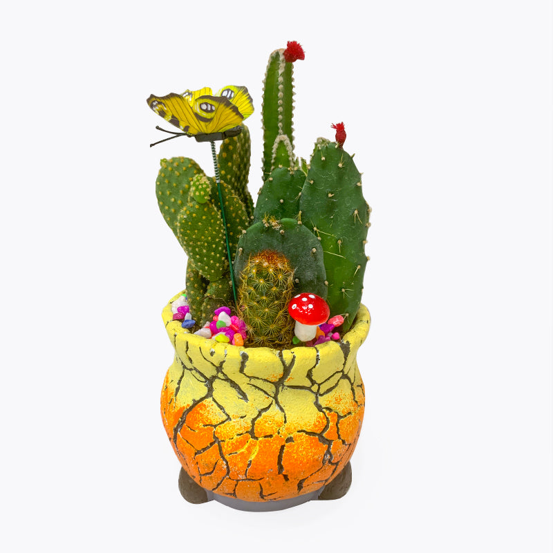 Fairytopia Cactus