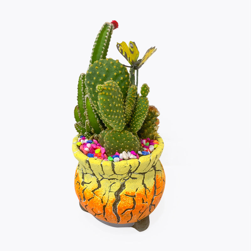 Fairytopia Cactus