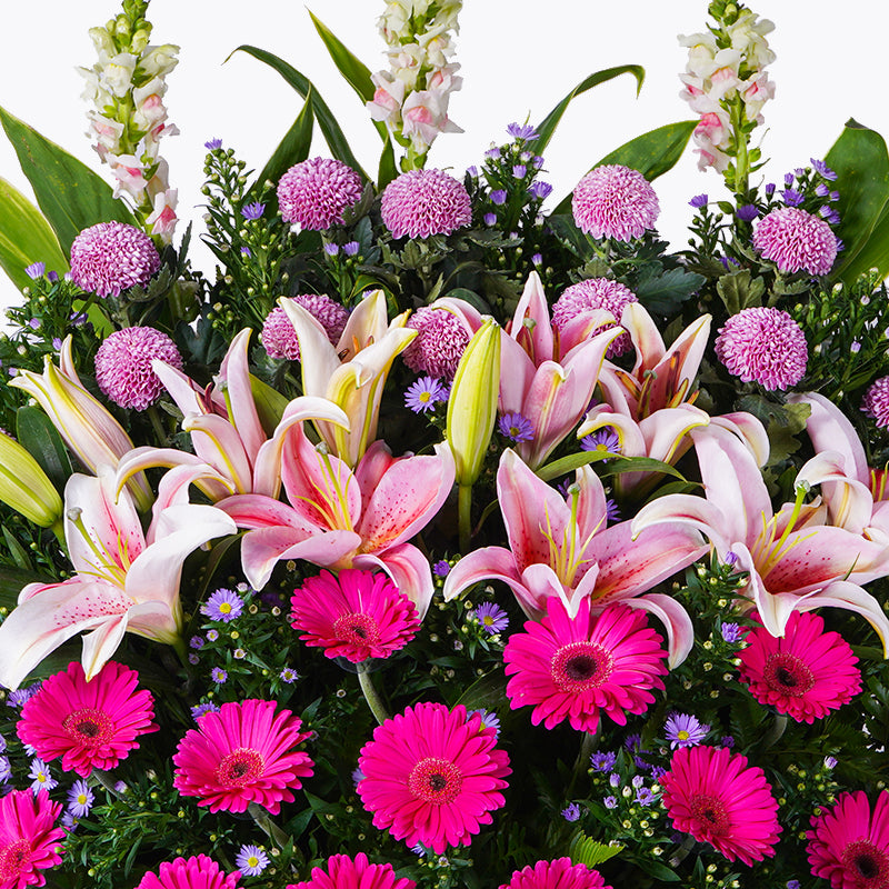 Royalty | Opening Flower Stand