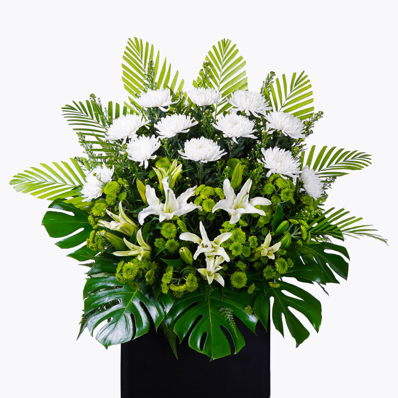 Solace Condolence | Funeral Flowers